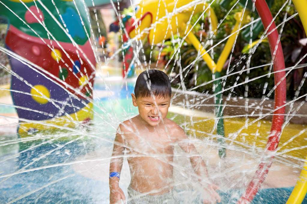 Hilton Garden Inn Houston/Bush Intercontinental Airport Зручності фото
